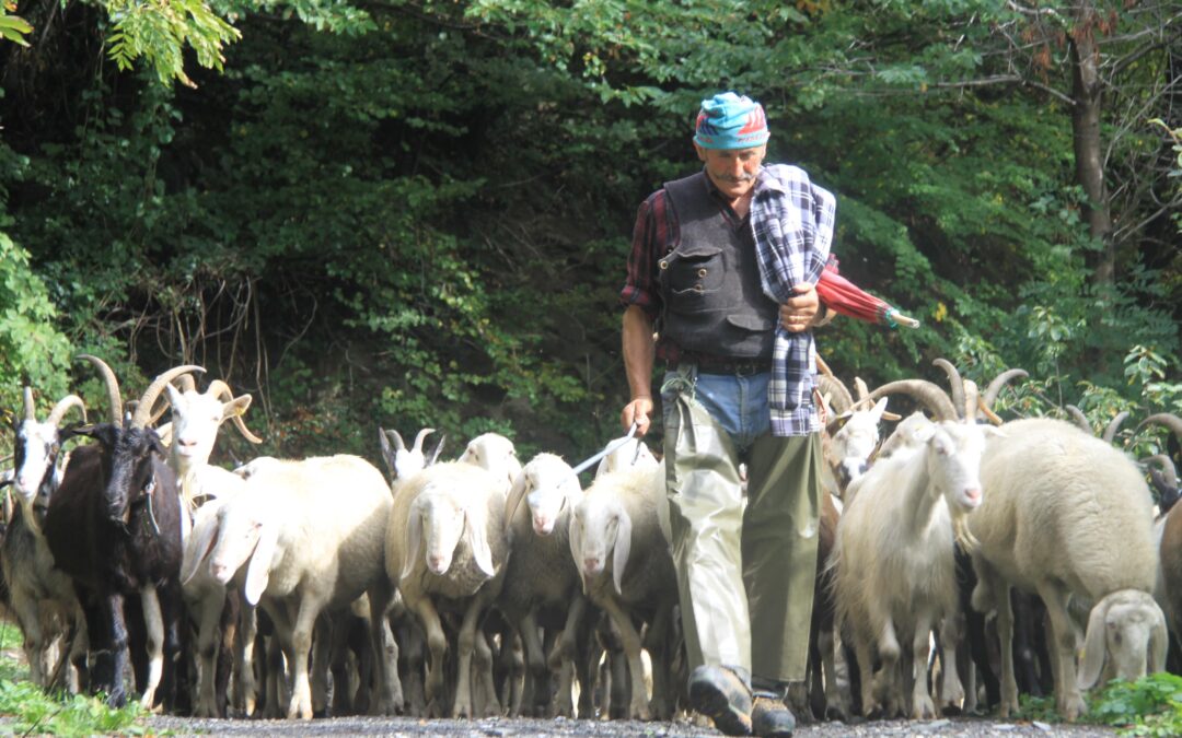 L’importanza della montagna